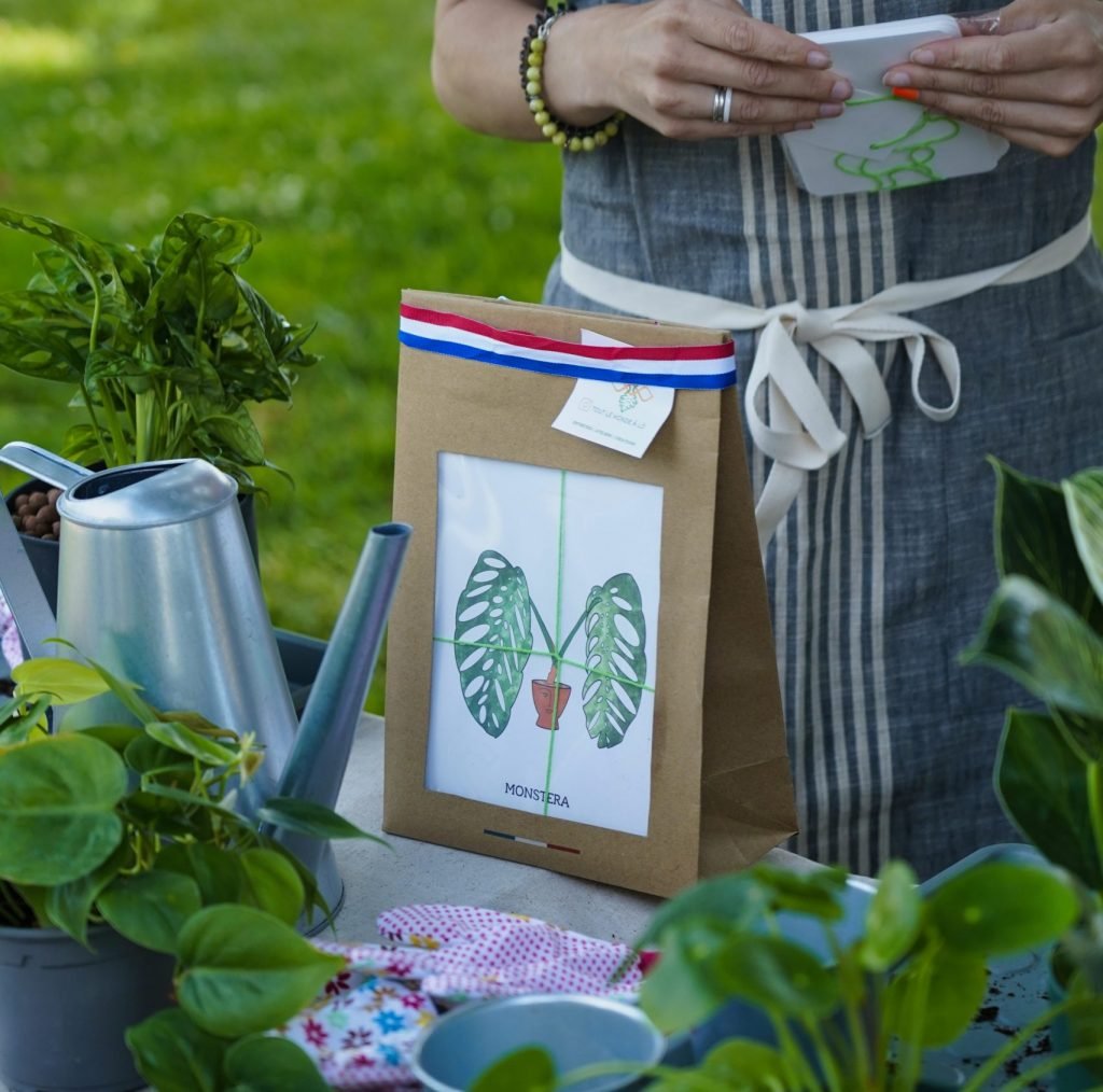 Laure Dairien - Atelier de plantation à Blois - Kit de plante Laure Dairien - Atelier de plantation à Blois - Kit de plante