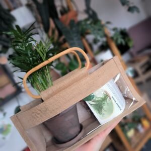 🪴 Kit Tropical Thérapie, Petite pousse - L’art (et la manière) de rempoter comme un·e pro